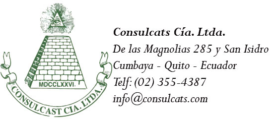 consulfirma
